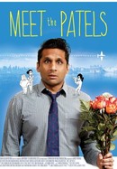 Meet the Patels poster image