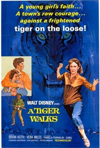 Watch trailer for A Tiger Walks