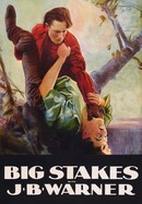 Big Stakes poster image
