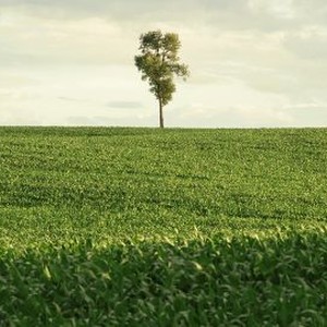 In Pursuit of Silence (2015)