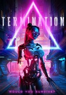 Termination poster image