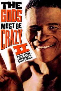 The Gods Must Be Crazy II poster