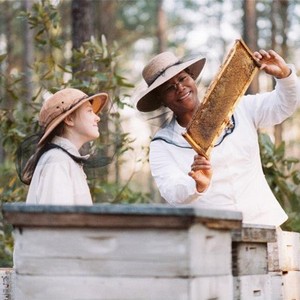 The Secret Life of Bees photo 13