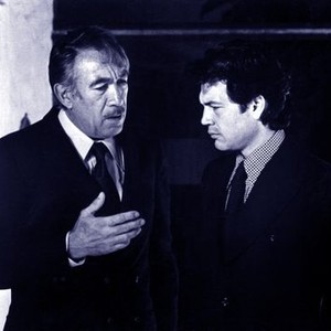 The Don Is Dead (1973) photo 2