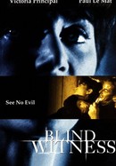 Blind Witness poster image