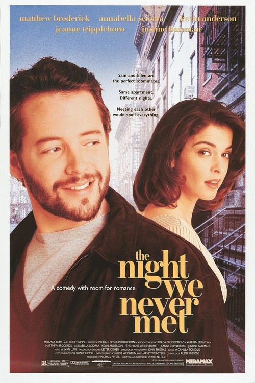 The Night We Never Met poster