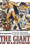 The Giant of Marathon poster image