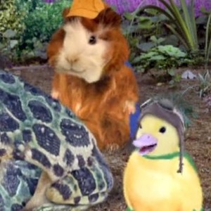 The Wonder Pets!: Season 2, Episode 3 - Rotten Tomatoes