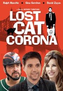 Lost Cat Corona poster image