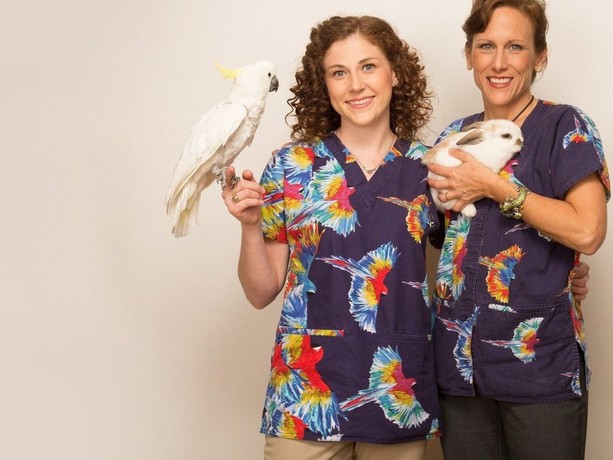 Dr k sales exotic animal hospital
