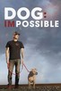 Poster for