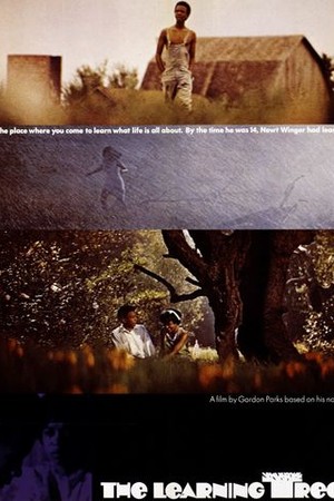 The Learning Tree poster