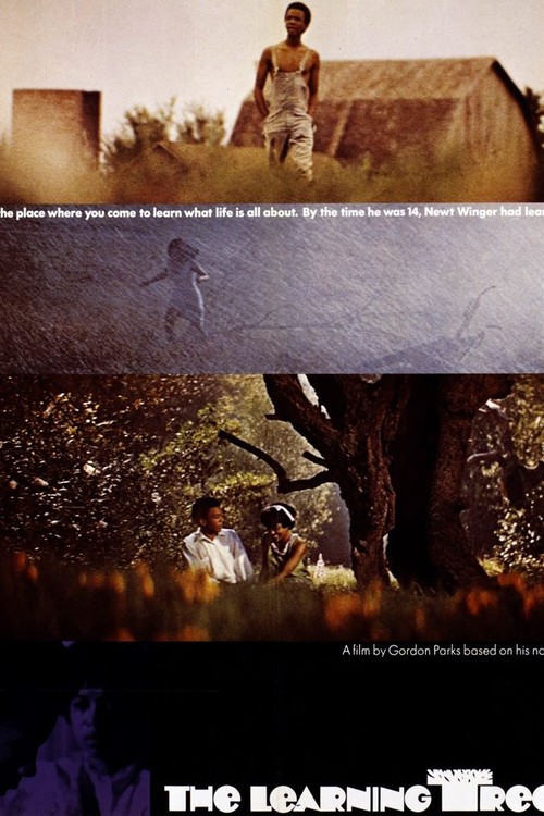 The Learning Tree poster