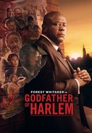Godfather of Harlem poster image