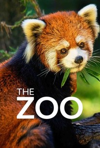 The Zoo Rotten Tomatoes