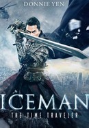Iceman: The Time Traveller poster image
