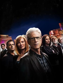 CSI: Crime Scene Investigation: Season 15 | Rotten Tomatoes