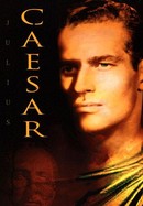 Julius Caesar poster image