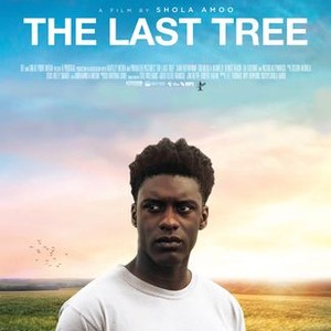 The Last Tree photo 13