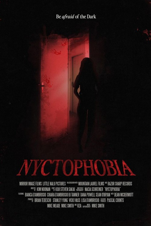Nyctophobia poster