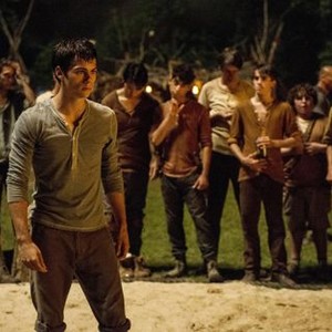 Dylan O'Brien  Rotten Tomatoes