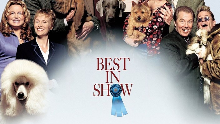 Best in show streaming store