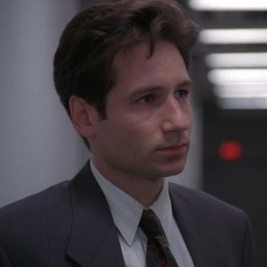 The X-Files - Season 1 Episode 9 - Rotten Tomatoes