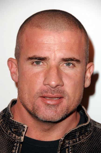 Dominic Purcell - Rotten Tomatoes