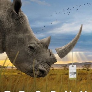 "Trophy photo 15"