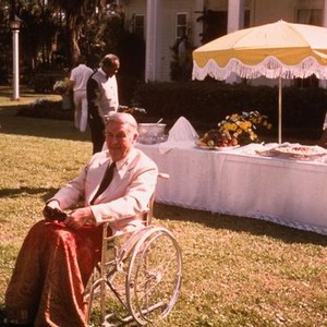 Frogs (1972) photo 11