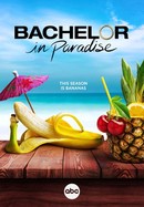 Bachelor in Paradise poster image