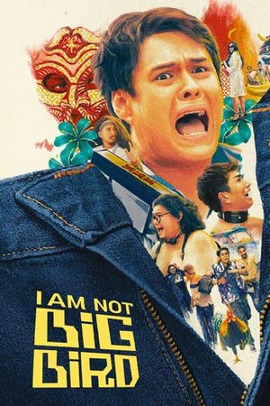 I Am Not Big Bird poster