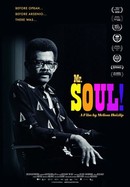 Mr. Soul! poster image