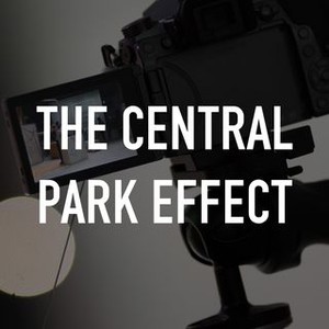 The Central Park Effect photo 12