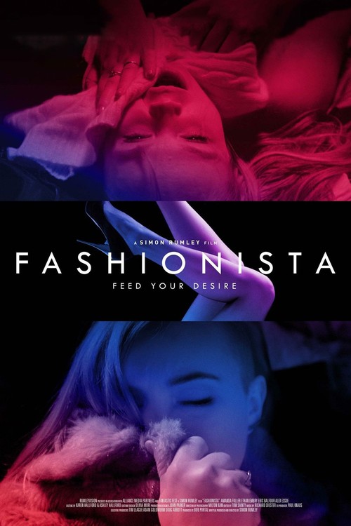 Fashionista poster