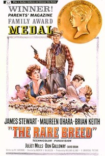 The Rare Breed poster