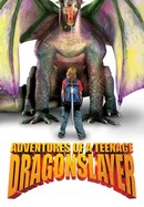 Adventures of a Teenage Dragonslayer poster image