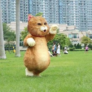 Film meow sales 2017 full movie