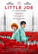 Little Joe