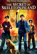 The Three Investigators and the Secret of Skeleton Island poster image