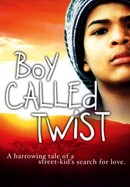 A Boy Called Twist poster image
