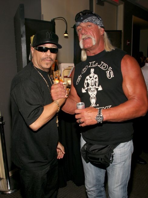 hulk hogan nanny dvd hulk hogan nanny dvd