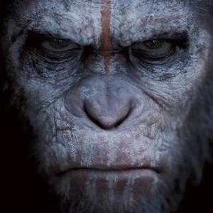 Dawn Of The Planet Of The Apes - Movie Quotes - Rotten Tomatoes