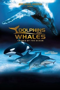 Watch trailer for Dolphins and Whales: Tribes of the Ocean
