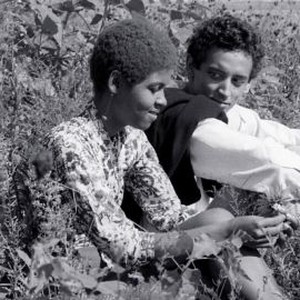 Guns of the Trees (1961) photo 12