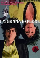 I'm Going to Explode poster image