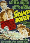 Swamp Water poster image