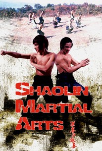 Shaolin Martial Arts