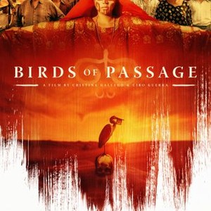 Birds of Passage Rotten Tomatoes