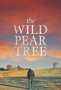 Watch trailer for The Wild Pear Tree